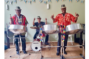 Livesteelband