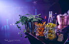 Peter Louies | Photography