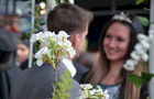 ShiningMoon Weddings