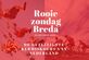 Rooie Zondag zoekt Brabantse bestuurders! - Foto 1