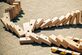 Giant Domino Drop - Foto 6