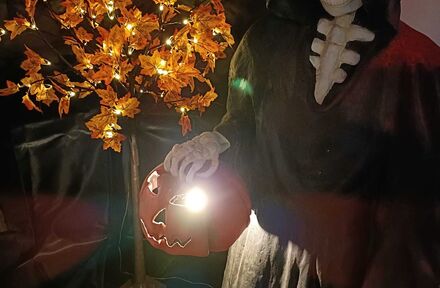 Halloween staat opnieuw voor de deur - Foto 1