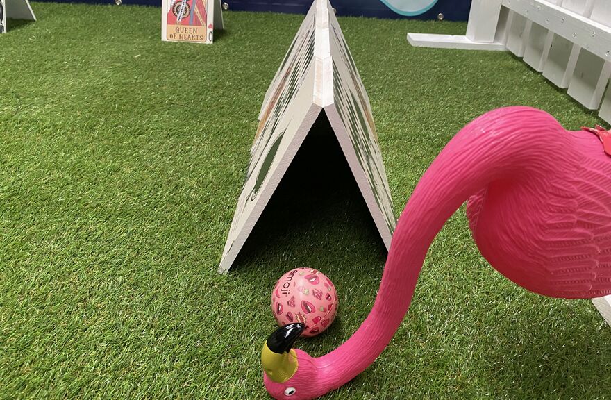 Croquet game Alice in Wonderland