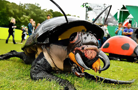 Hallo lente 2021, BIG BUGS zijn er klaar voor! - Foto 1