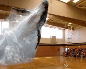 Magic Leap Conjures Up a Whale on Your Event