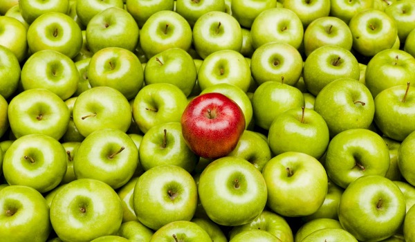 TOP 7 Qualities of a Great Event Manager TOP 7 Qualities of a Great Event Manager