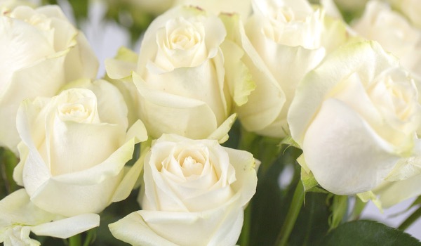 Event Planner Recycles Flowers Event Planner Recycles Flowers