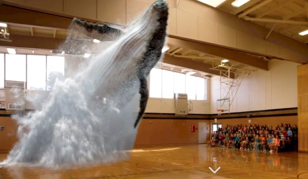 Magic Leap Conjures Up a Whale on Your Event Magic Leap Conjures Up a Whale on Your Event
