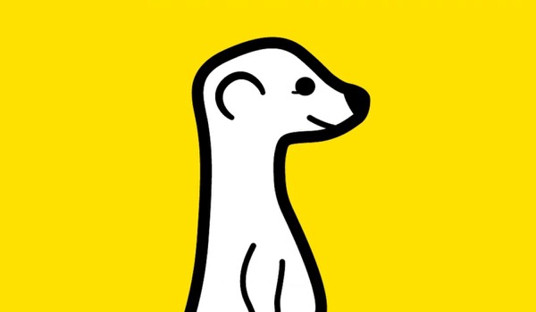 Livestreaming App Meerkat is Quitting Livestreaming App Meerkat is Quitting