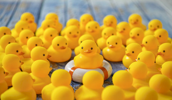 How to Personalize the Attendee Experience on Events How to Personalize the Attendee Experience on Events
