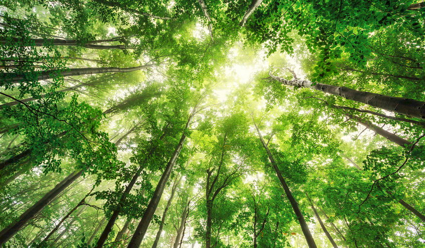 Is Your Event Sustainable? Here's How to Make Sure Is Your Event Sustainable? Here's How to Make Sure